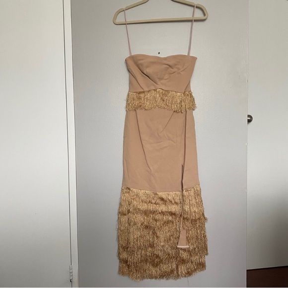 NWT Jonathan Simkhai FW 2016 Nude Fringe Strapless Dress - Picture 3 of 7